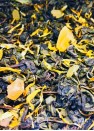 Чай зеленый Дыня карамель
